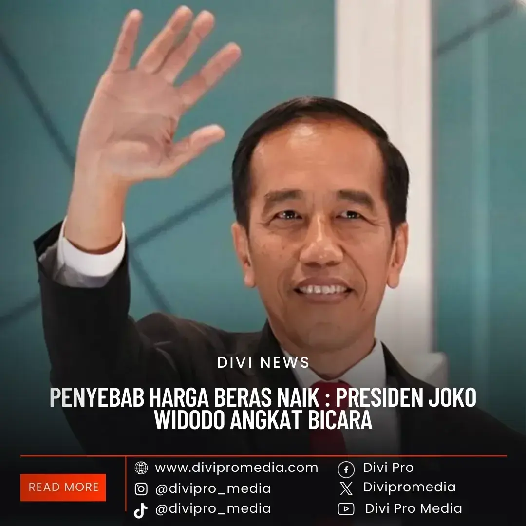 Penyebab Harga Beras Naik : Presiden Joko Widodo Angkat Bicara
