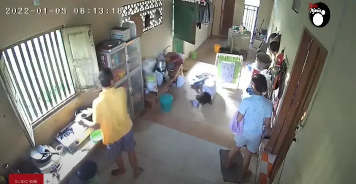 Kompilasi orang Kejedot Pintu