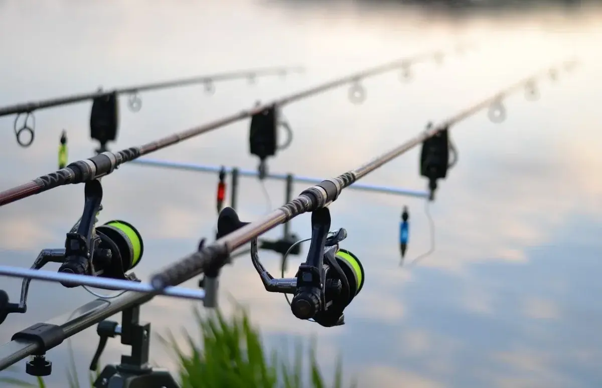 Ternyata ini, beberapa Pilihan reel pancing terbaik untuk pemula. FOTO: Pixabay.com/Divipromedia.com