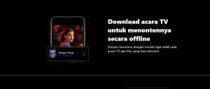 Ini loh beberapa pilihan Sinopsis film terbaik di Netflix. FOTO: TangkapanLayar/Divipromedia.com