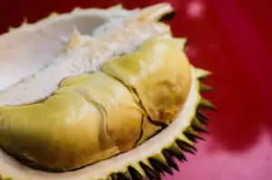 Ini lho tips memilih durian yang matang dan terbaik. FOTO: Pixabay.com/Divipromedia