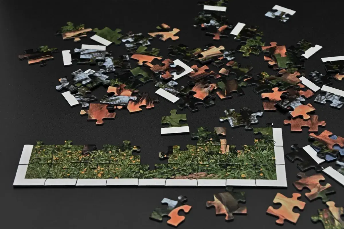 ini loh hal penting tentang Bermain puzzle untuk anak usia dini. FOTO: Pixabay.com/divipromedia.com