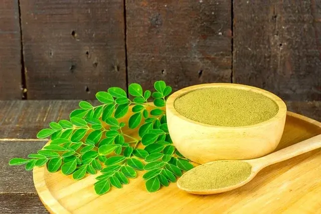 Beigi ternyata Fungsi dan manfaat daun kelor. FOTO: Pixabay.com/divipromedia.com