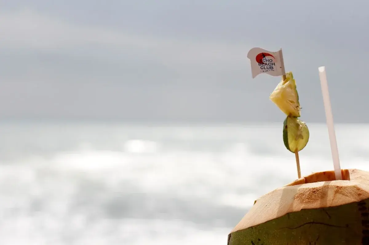 Kelapa dengan nuansa pantai. FOTO: Pixabay.com/Divipromedia.com Kelapa dengan nuansa pantai. FOTO: Pixabay.com/Divipromedia.com