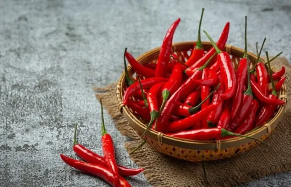 Ilustrasi cabai yang seringkali dianggap bisa menyebabkan usus buntu. Foto: Freepik