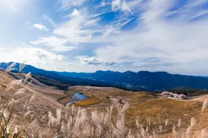 Pilihan terbaik nih 4 destinasi wisata untuk akhir tahun. FOTO: Pexels