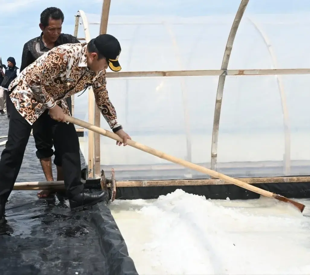 Caption : Penjabat (Pj) Bupati Cirebon, Wahyu Mijaya, melakukan kunjungan langsung untuk meninjau pelaksanaan panen garam di kawasan pengembangan garam rakyat yang terletak di Desa Tawangsari, Kecamatan Losari, Kamis (28/11/2024). dok.way divipromedia.com