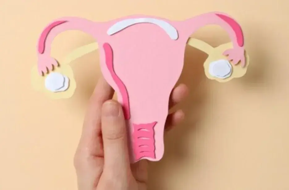 Ilustrasi menopause. Foto: Freepik