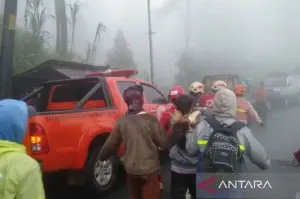Tim Taruna Siaga Bencana (Tagana) Kementerian Sosial membantu BNPB dalam mengevakuasi korban longsor di Pekalongan, Jawa Tengah. ANTARA/HO-Humas Kemensos RI