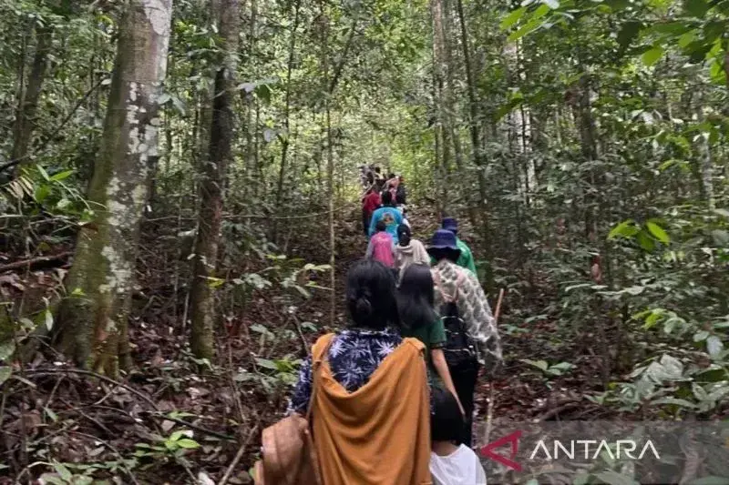 Giat kelompok pelestari di Hutan Wehea, Kalimantan Timur. (ANTARA/HO-Dokumentasi pribadi)
