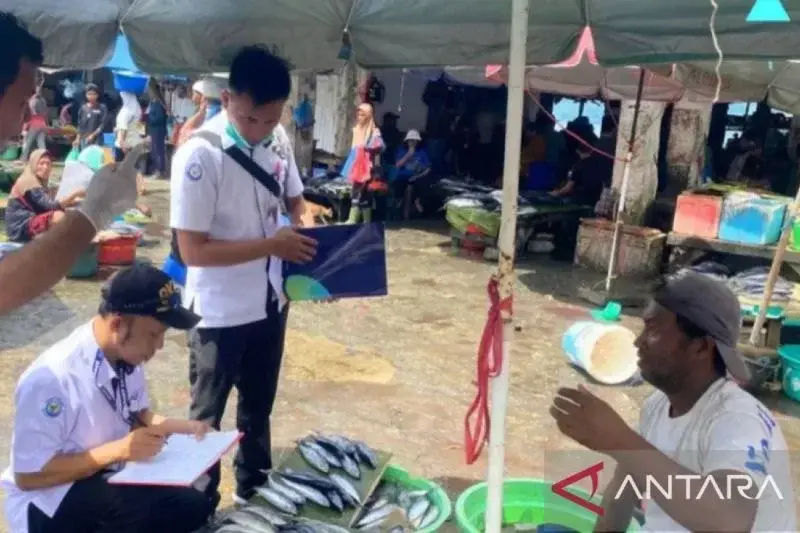 BPPMHKP Melakukan pengawasan perikanan di pasar mardika Ambon (Antara/HO-BPPMHKP Ambon)

