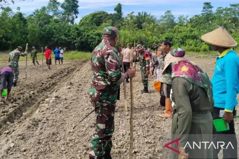 Kodim 1513/SBB bersama warga bersama-sama menanam jagung di lahan seluas 10 hektare untuk mewujudkan ketahanan pangan di daerah (Antara/HO-Kodim SBB)