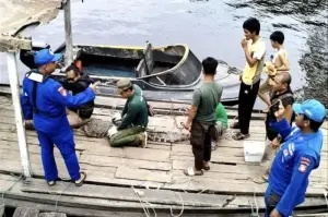 Arsip - BKSDA Sampit evakuasi seekor buaya muara dengan panjang 2,5 meter di Desa Makarti Jaya, (4/12/2024). (ANTARA/Dokumentasi Pribadi)
