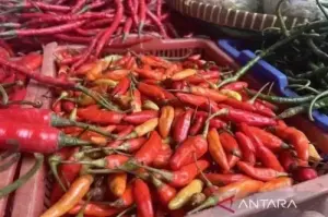 Cabai yang berada di pasaran. FOTO: ANTARA, divipromedia.com