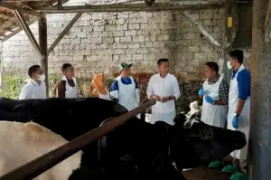 Penjabat (Pj) Gubernur Jawa Barat Bey Triadi Machmudin meninjau vaksinasi di Desa Cisaat, Kabupaten Subang, Selasa (14/1/2025). (ANTARA/HO Pemprov Jabar)