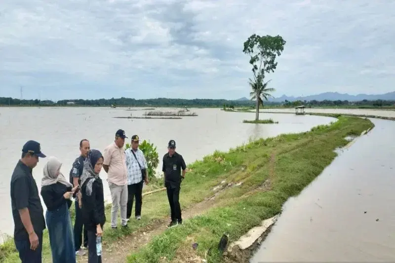 Ratusan hektare area persawahan di Kapanewon Sentolo, Kabupaten Kulon Progo, Daerah Istimewa Yogyakarta, teredam air akibat hujan intensitas tinggi mengguyur wilayah itu.* (ANTARA/Sutarmi)
