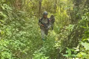 Satgas Operasi Madago Raya Polda Sulteng melakukan patroli di wilayah pegunungan Poso, Kamis (15/1/2025). (ANTARA/HO-Humas Polda Sulteng)