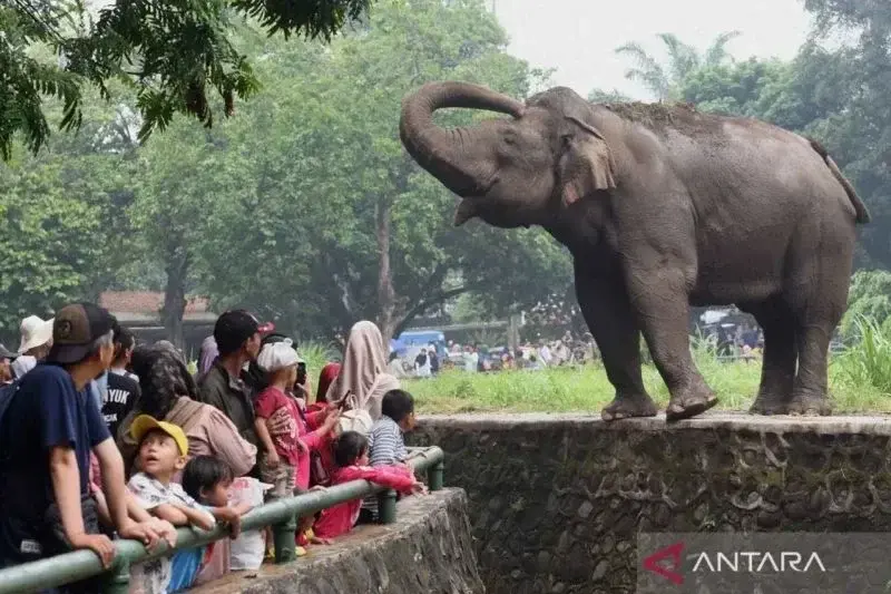 Pengunjung berwisata di Taman Margasatwa Ragunan, Jakarta, Senin (25/12/2023). ANTARA FOTO/Indrianto Eko Suwarso/YU