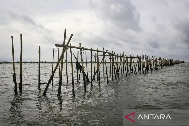 Arsp foto - Pagar laut terpasang di kawasan pesisir Kabupaten Tangerang, Banten, Kamis (9/1/2025). ANTARA FOTO/Sulthony Hasanuddin/rw/pri.