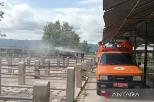 Kegiatan penyemprotan desinfektan terhadap fasilitas yang ada di Pasar Hewan Imogiri Kabupaten Bantul Daerah Istimewa Yogyakarta. Selasa (14/1/2025) (Foto ANTARA/Hery Sidik)