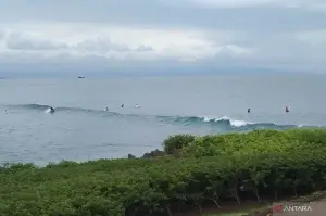 Arsip foto - Sejumlah wisatawan menikmati ombak tinggi dengan olahraga berselancar di Pantai Nusa Dua, Kabupaten Badung, Bali, Jumat (3/1/2025) ANTARA/Dewa Ketut Sudiarta Wiguna