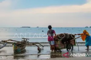 Petani membawa rumput laut hasil budidaya di Pantai Marina, Bantaeng, Sulawesi Selatan, Sabtu (11/1/2025). (ANTARAFOTO/Hasrul Said)