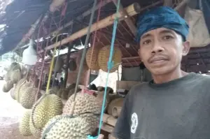 Warga Badui berjualan buah durian di ruas jalan menuju kawasan permukiman saba budaya Badui di pedalaman Kabupaten Lebak, Banten. ANTARA/Mansyur
