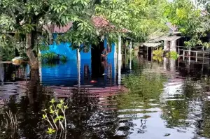 Banjir di Desa Sungai Duri, Kecamatan Sungai Raya Kabupaten Bengkayang. ANTARA/Narwati