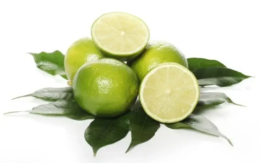Ilustrasi daun jeruk. Foto: Freepik