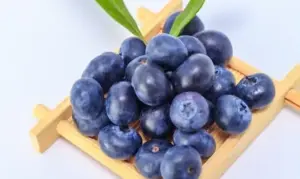 Anti-Aging Alami: Manfaat Blueberry untuk Mencegah Penuaan Dini