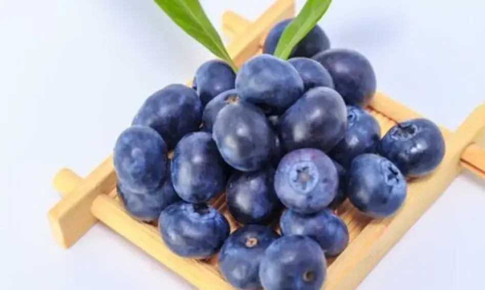 Anti-Aging Alami: Manfaat Blueberry untuk Mencegah Penuaan Dini