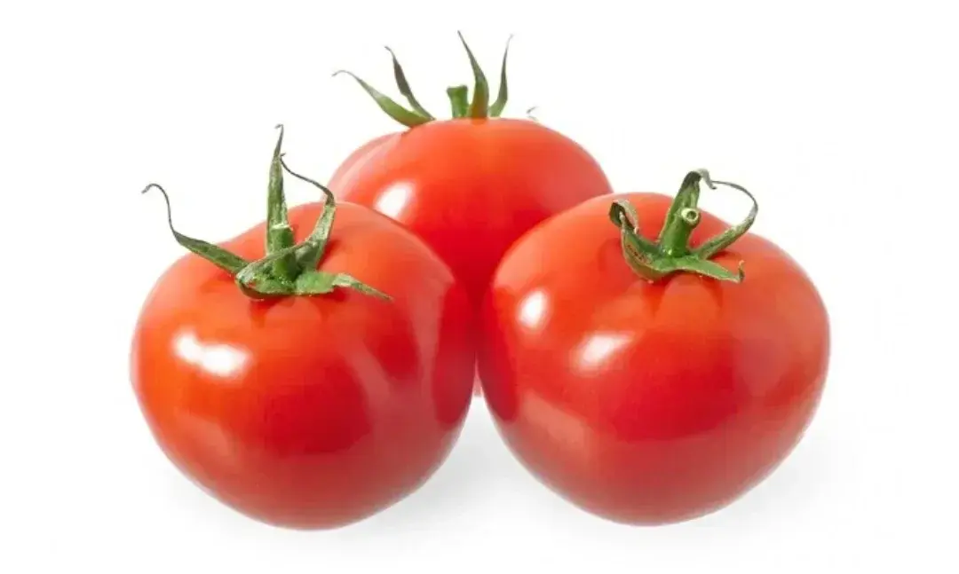 Ilustrasi tomat. Foto: Rini/Divipro