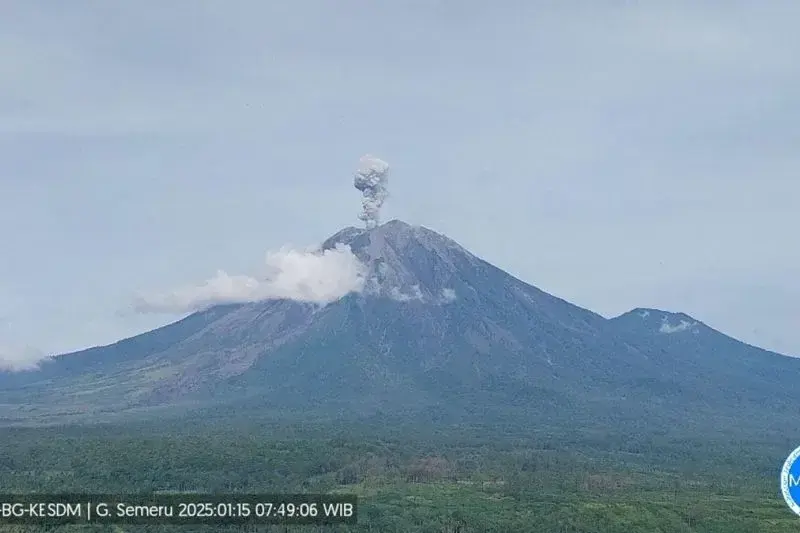 Gunung Semeru erupsi dengan tinggi letusan 900 meter di atas puncak pada Rabu (15/1/2025) pukul 07.48 WIB. ANTARA/HO-PVMBG