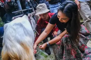 Tantangan dan peluang di dua desa wisata yang ada di Yogyakarta. (ANTARA/HO-Kemenpar)