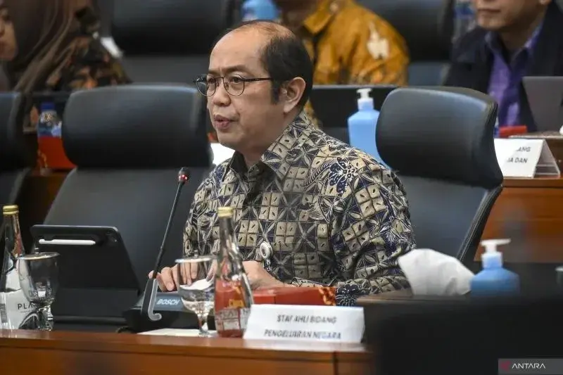 Direktur Jenderal Anggaran Kementerian Keuangan Isa Rachmatarwata saat mengikuti rapat kerja DPR bersama Pemerintah di kompleks Parlemen, Jakarta, Selasa (25/6/2024). ANTARA FOTO/Erlangga Bregas Prakoso/tom.