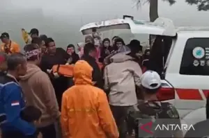 Petugas gabungan mengevakuasi jasad korban perempuan yang ditemukan tewas di Perkebunan Teh Gedeh, Desa Sukamulya, Kecamatan Cugenang, Cianjur, Jawa Barat, Minggu (26/1/2025).(ANTARA/Ahmad Fikri)