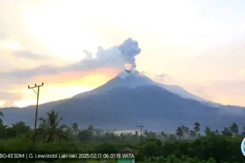 Gunung Lewotobi Laki-laki di Kabupaten Flores Timur, Nusa Tenggara Timur (NTT) erupsi dengan tinggi kolom abu teramati kurang lebih 900 meter di atas puncak atau kurang lebih 2.484 meter di atas permukaan laut pada Senin (17/2/2025) pagi. (ANTARA/HO-PVMBG.)
