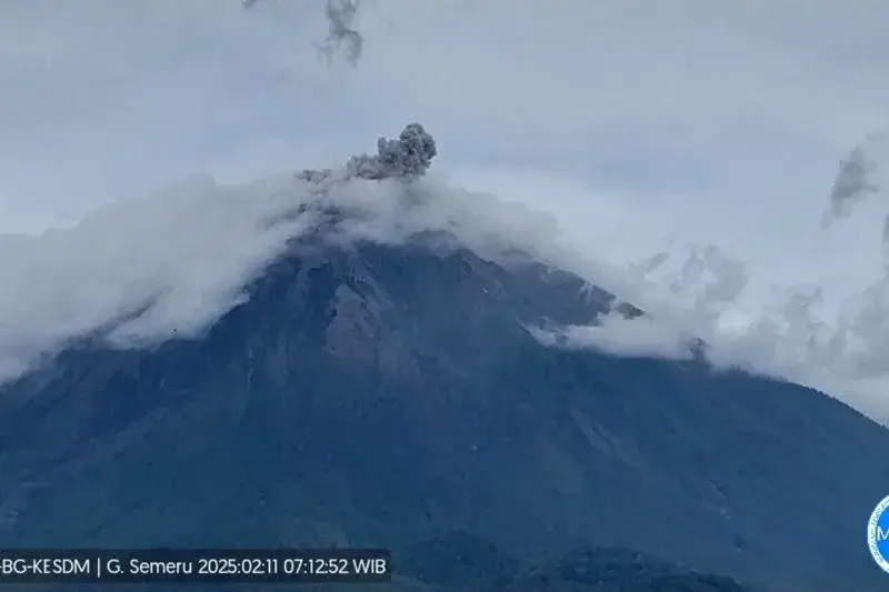 Gunung Semeru erupsi dengan letusan setinggi 700 meter pada Selasa (11/2/2025) pagi. ANTARA/HO-PVMBG