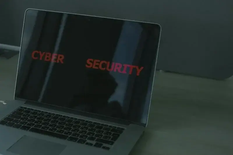 Ilustrasi keamanan siber. (ANTARA/Pexel-Cottonbro Studio)