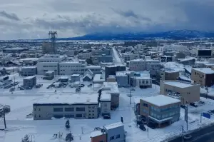 Kota Takikawa dilihat dari atas saat siang hari, Kamis (30/01/2025). (ANTARA/Dyah Dwi Astuti)