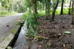 Kondisi lingkungan yang dapat menyebabkan terjadinya kasus DBD di wilayah NTB, Rabu (12/02/2025) (ANTARA/Akhyar Rosidi)