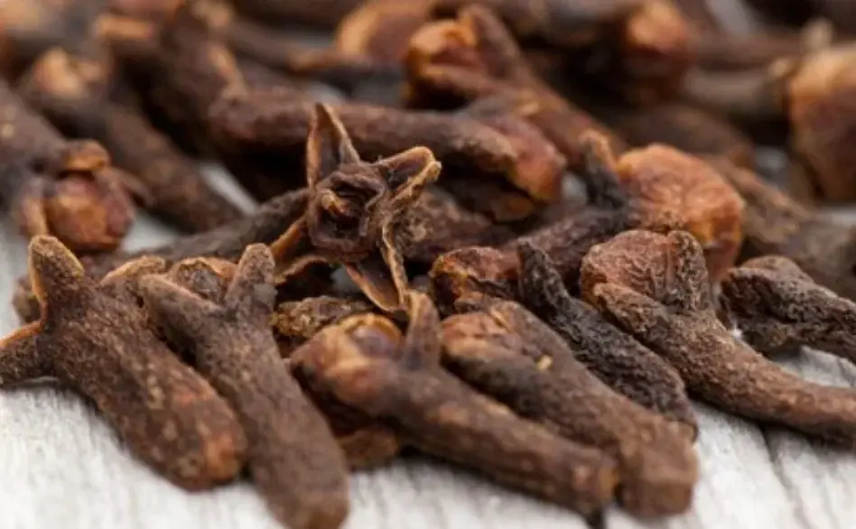 Ilustrasi cengkeh. Foto: Freepik