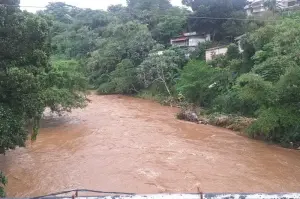 Sungai Ciliwung Depok (ANTARA/ Foto: Feru Lantara)