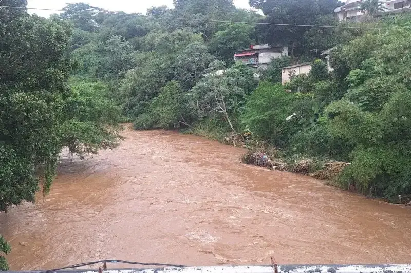Sungai Ciliwung Depok (ANTARA/ Foto: Feru Lantara) Sungai Ciliwung Depok (ANTARA/ Foto: Feru Lantara)