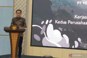 Industri Pesawat Nasional