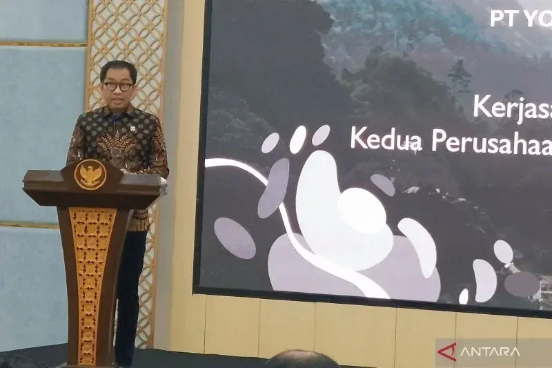Industri Pesawat Nasional