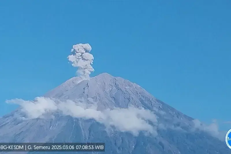 Gunung Semeru erupsi dengan letusan setinggi 1.100 meter di atas puncak pada Kamis (6/3/2025) pagi. ANTARA/HO-PVMBG