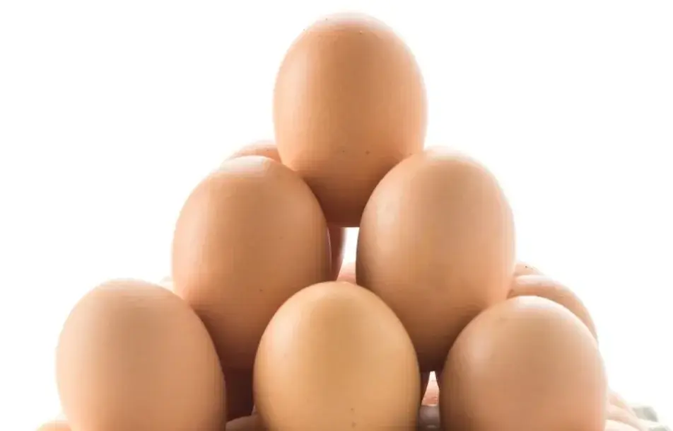 Ilustrasi telur yang bagus untuk kecantikan. Foto: Freepik