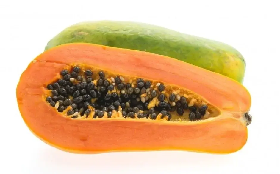 Ilustrasi pepaga yang bagus untuk kecantikan. Foto: Rini/Divipro