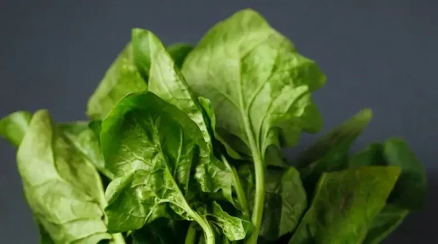 Ilustrasi bayam. Foto: Freepik